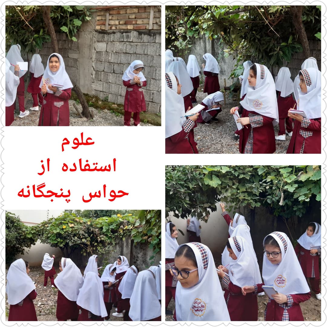پیش دبستان و دبستان دخترانه دنیای گلها